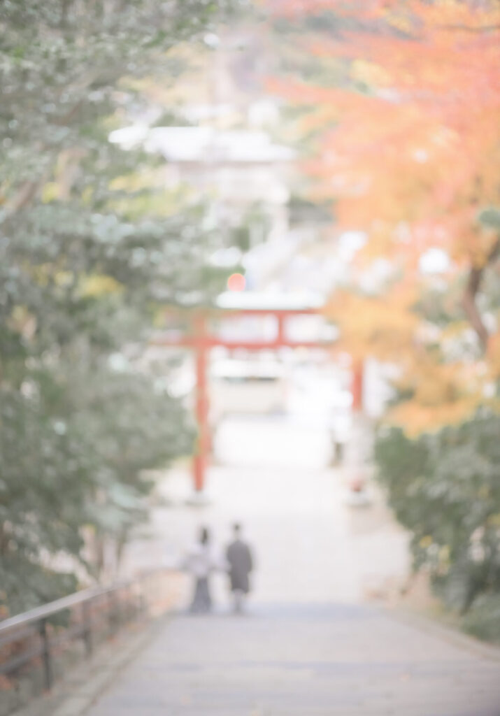 鎌倉　鶴岡八幡宮