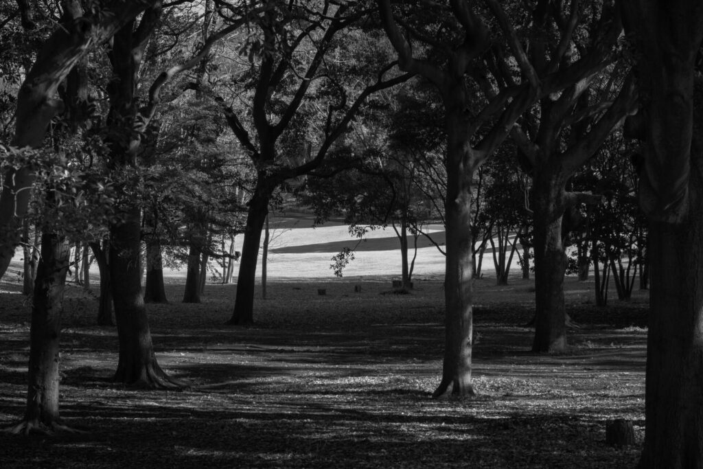 根岸森林公園　根岸競馬場　白黒写真