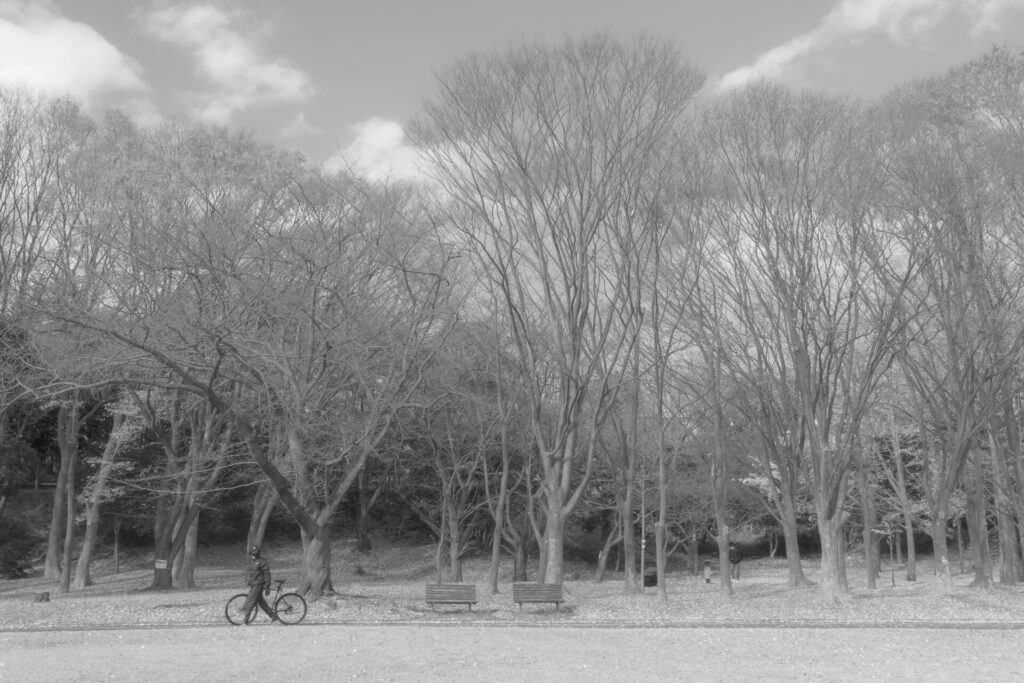 根岸森林公園　自転車　白黒写真