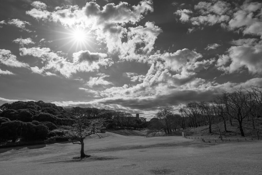 根岸森林公園　根岸競馬場　白黒写真