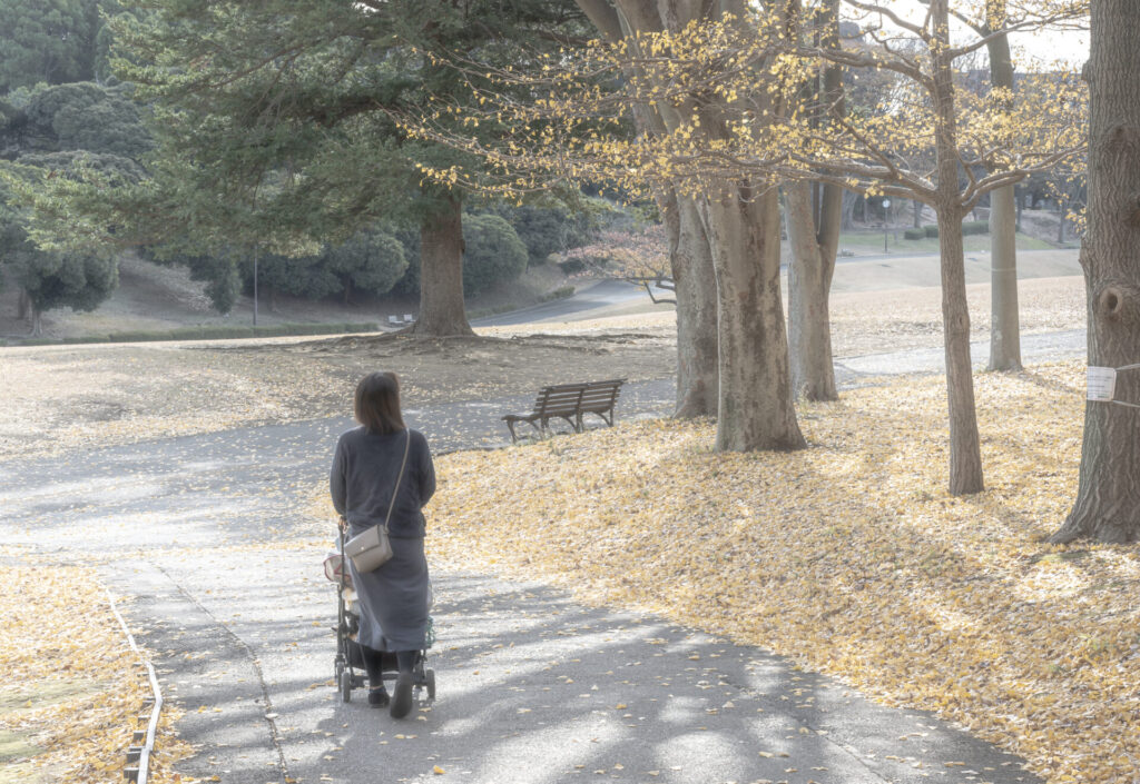 根岸森林公園　銀杏　散歩