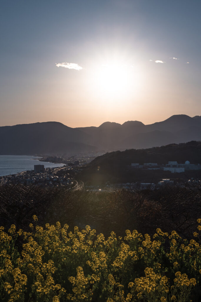 吾妻山　二ノ宮　夕焼け　菜の花