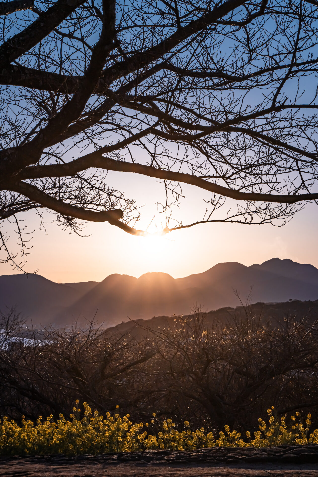 吾妻山　二ノ宮　夕焼け　菜の花