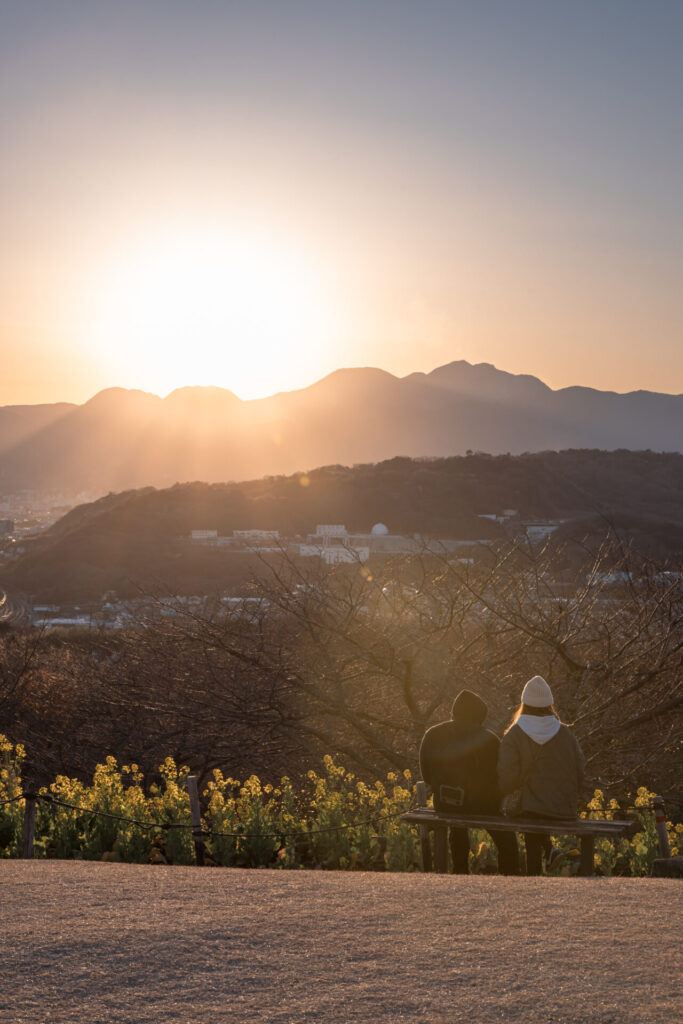 吾妻山　二ノ宮　カップル　夕焼け　菜の花